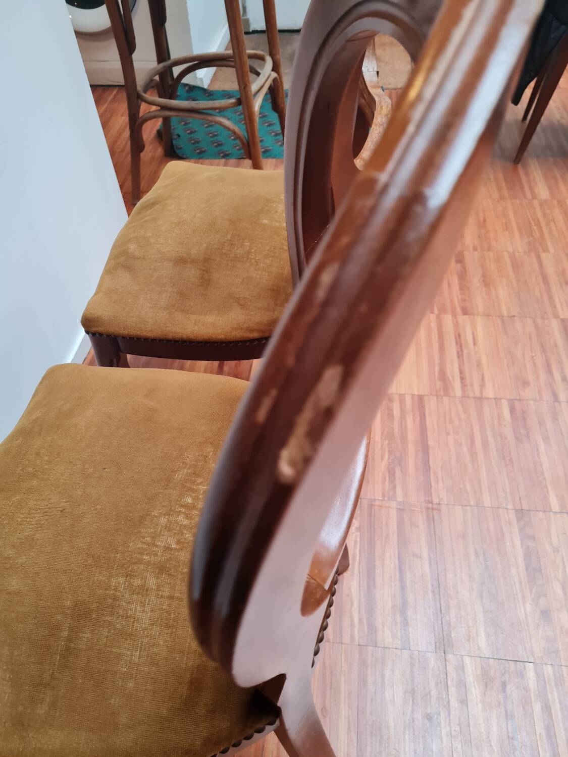 Pair of wooden chairs with velvet seats