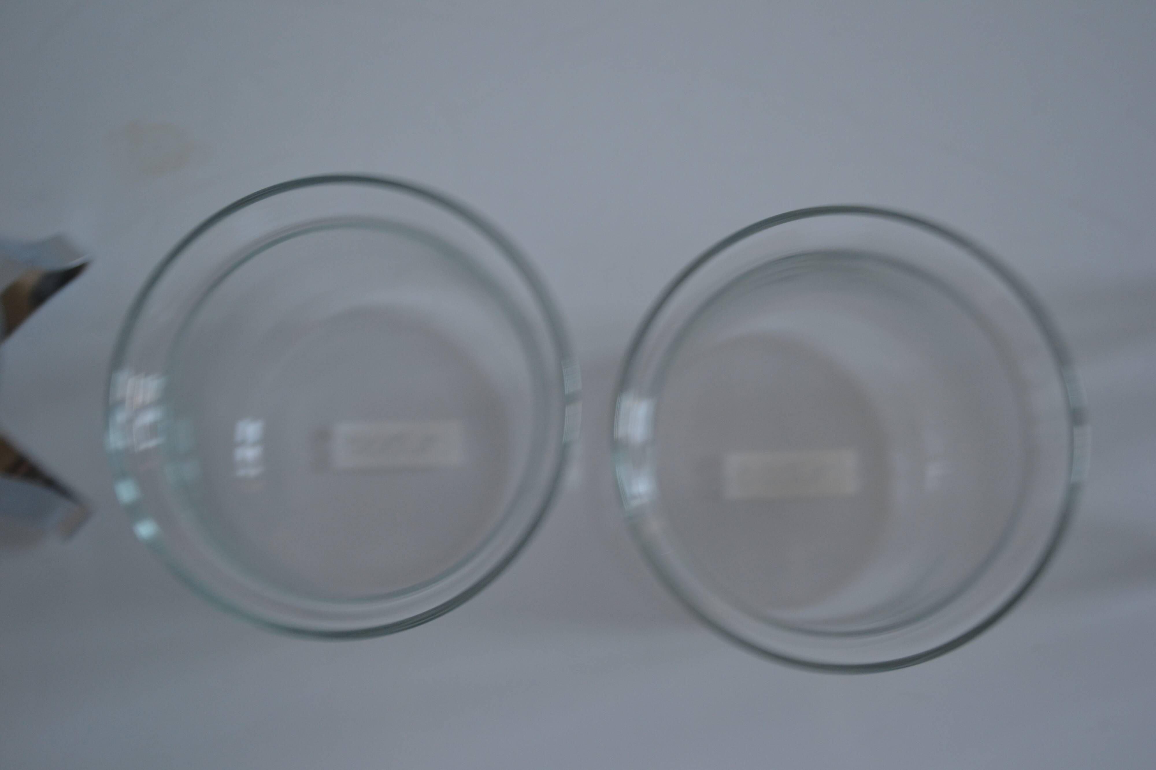 pair of Bodum Chambord bistro style cups 6 oz / 18 ml