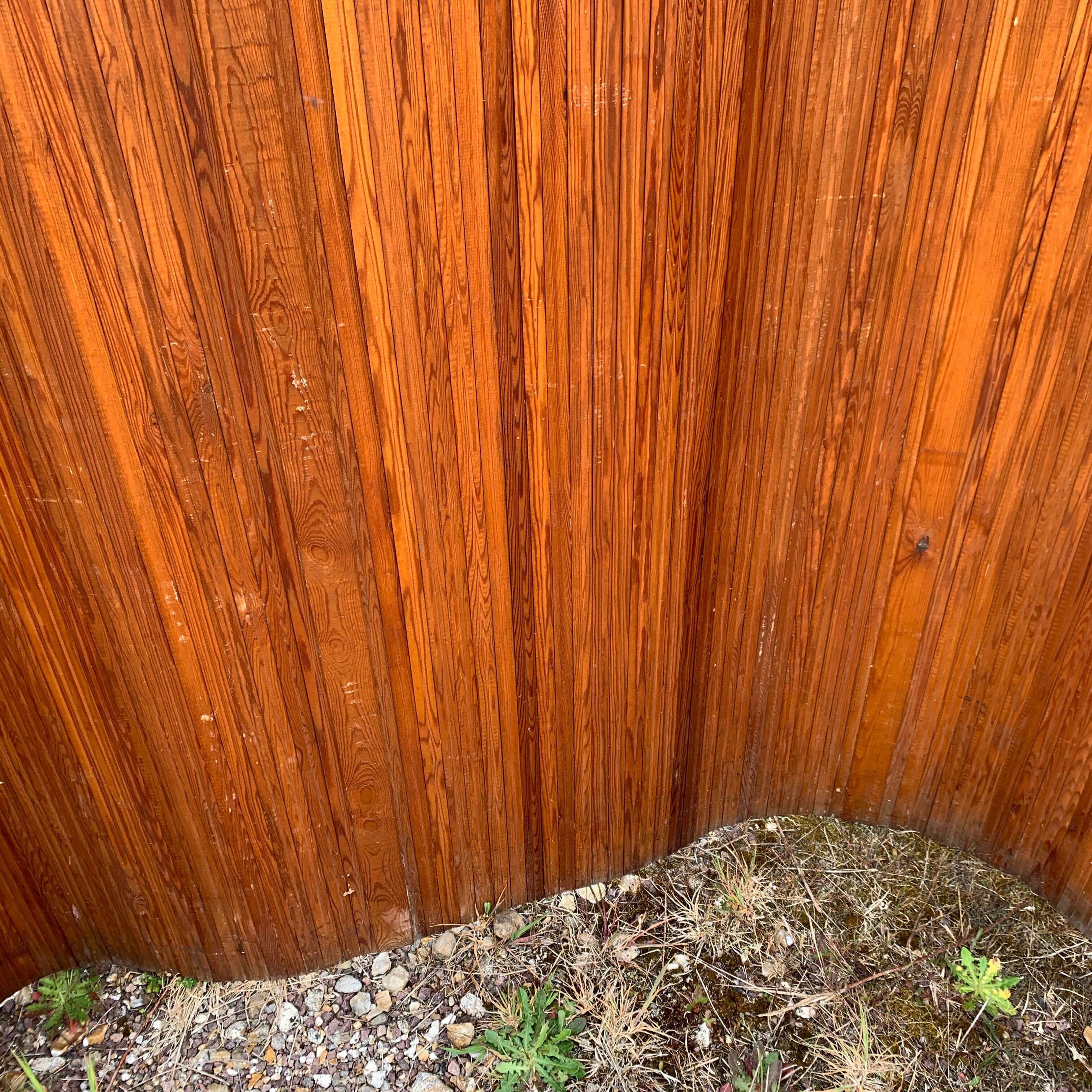 SNSA screen in pitchpin slats genus Baumann