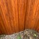 SNSA screen in pitchpin slats genus Baumann