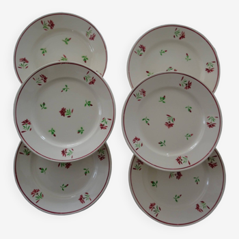 6 assiettes plates faïence ancienne badonviller 135423 fleur rouge et verte