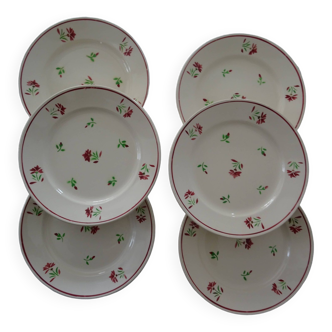 6 old earthenware flat plates badonviller 135423 red and green flower