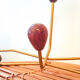 Vintage metal and wood coat rack year 50