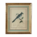 Bird setting
