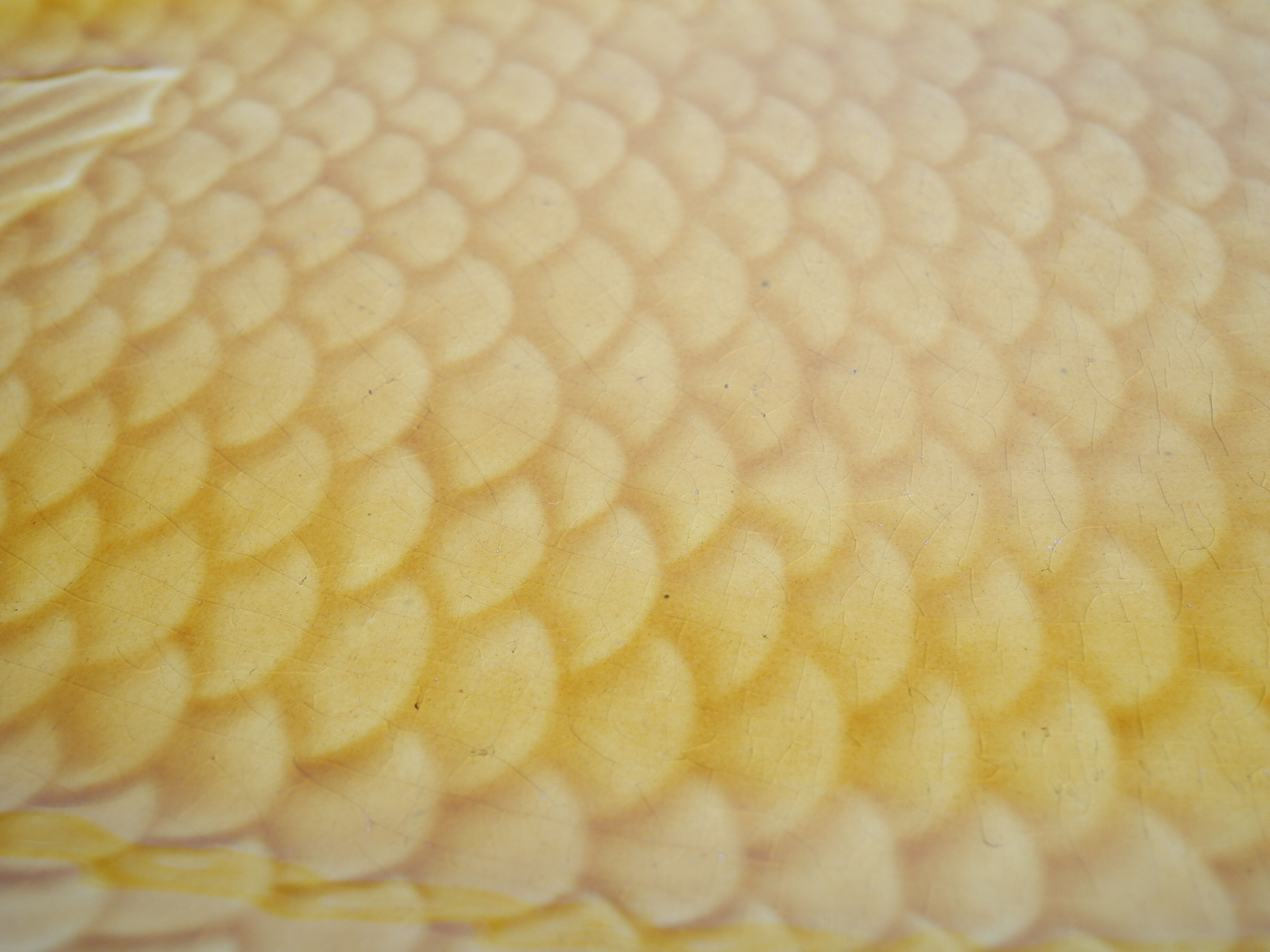 Fish dish sarreguemines