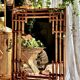 Large sculptural mirror handmade from natural bamboo and woven rattan, 1960.