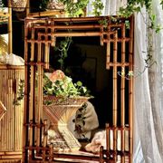 Large sculptural mirror handmade from natural bamboo and woven rattan, 1960.