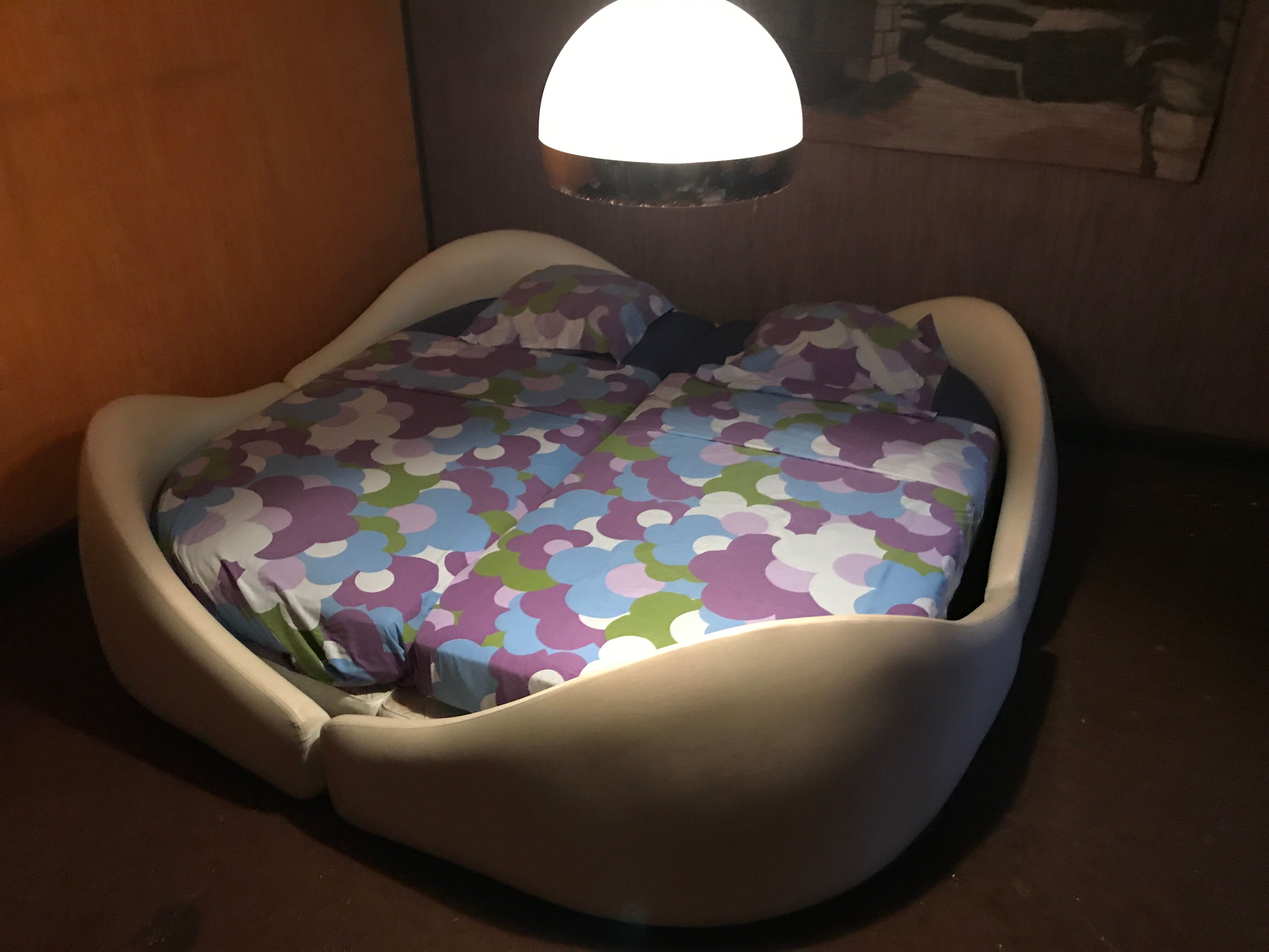 Anemone bed by Bernard Gauvin 1972