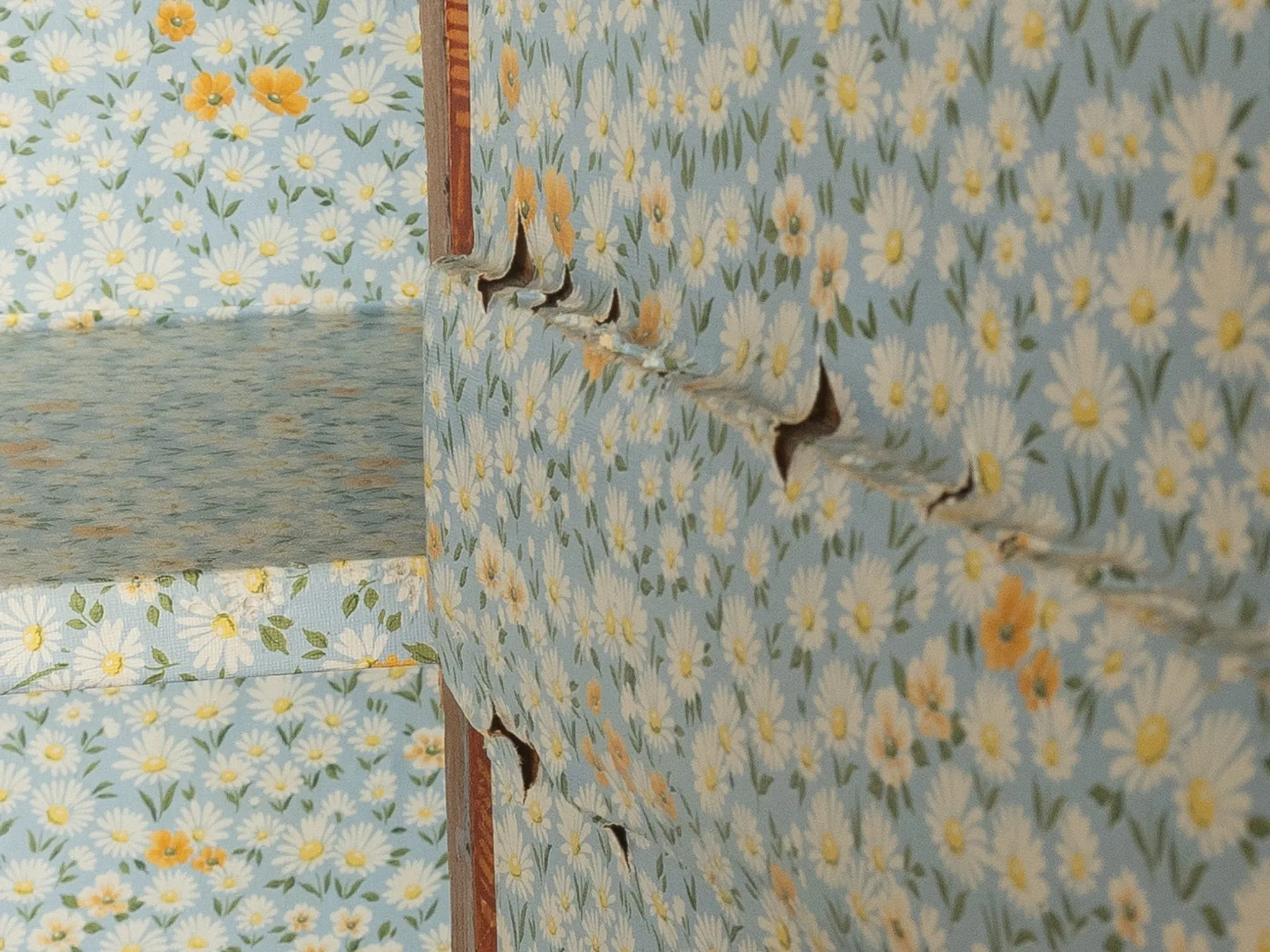 18th century farmer's cabinet with hand painting