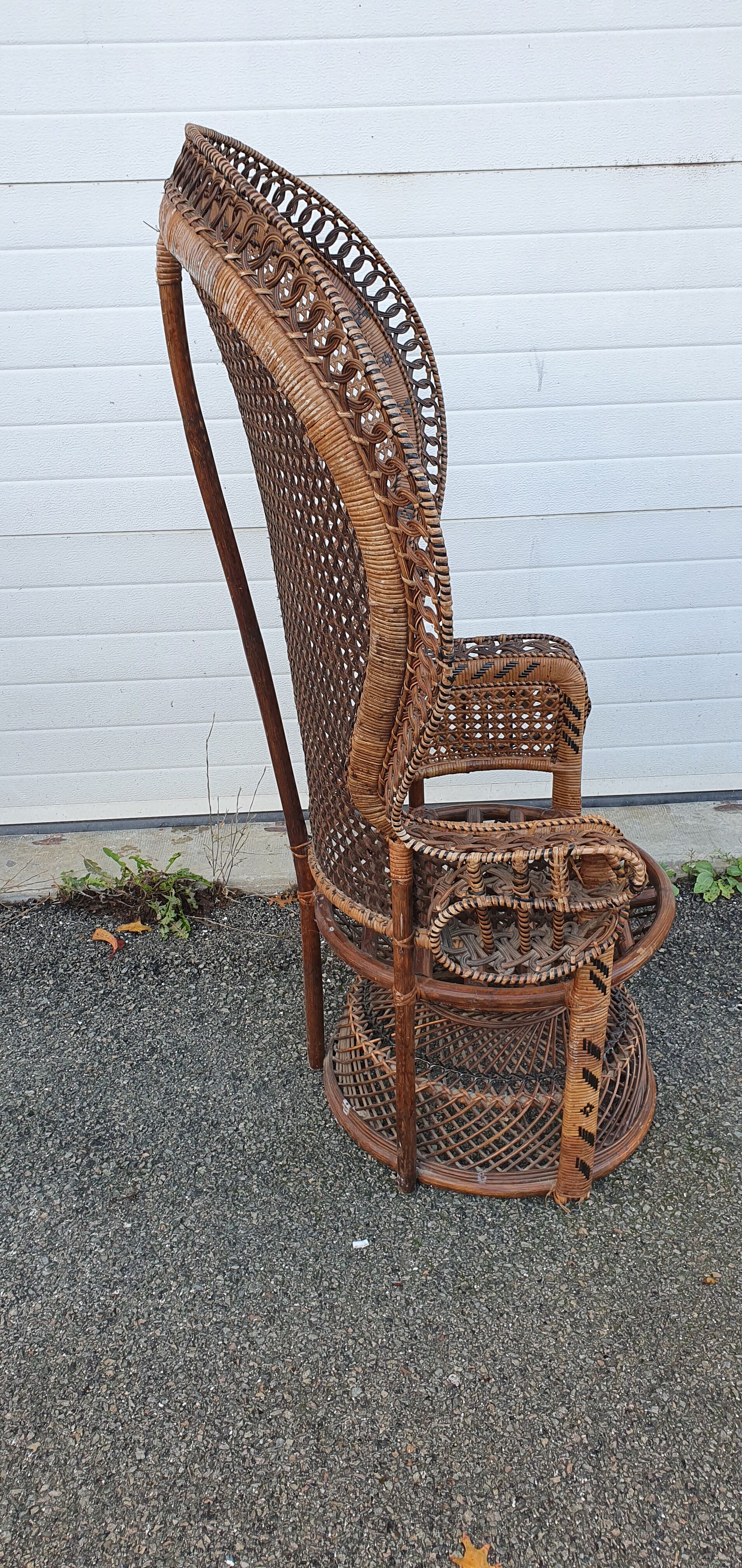 Fauteuil emmanuelle de 1970