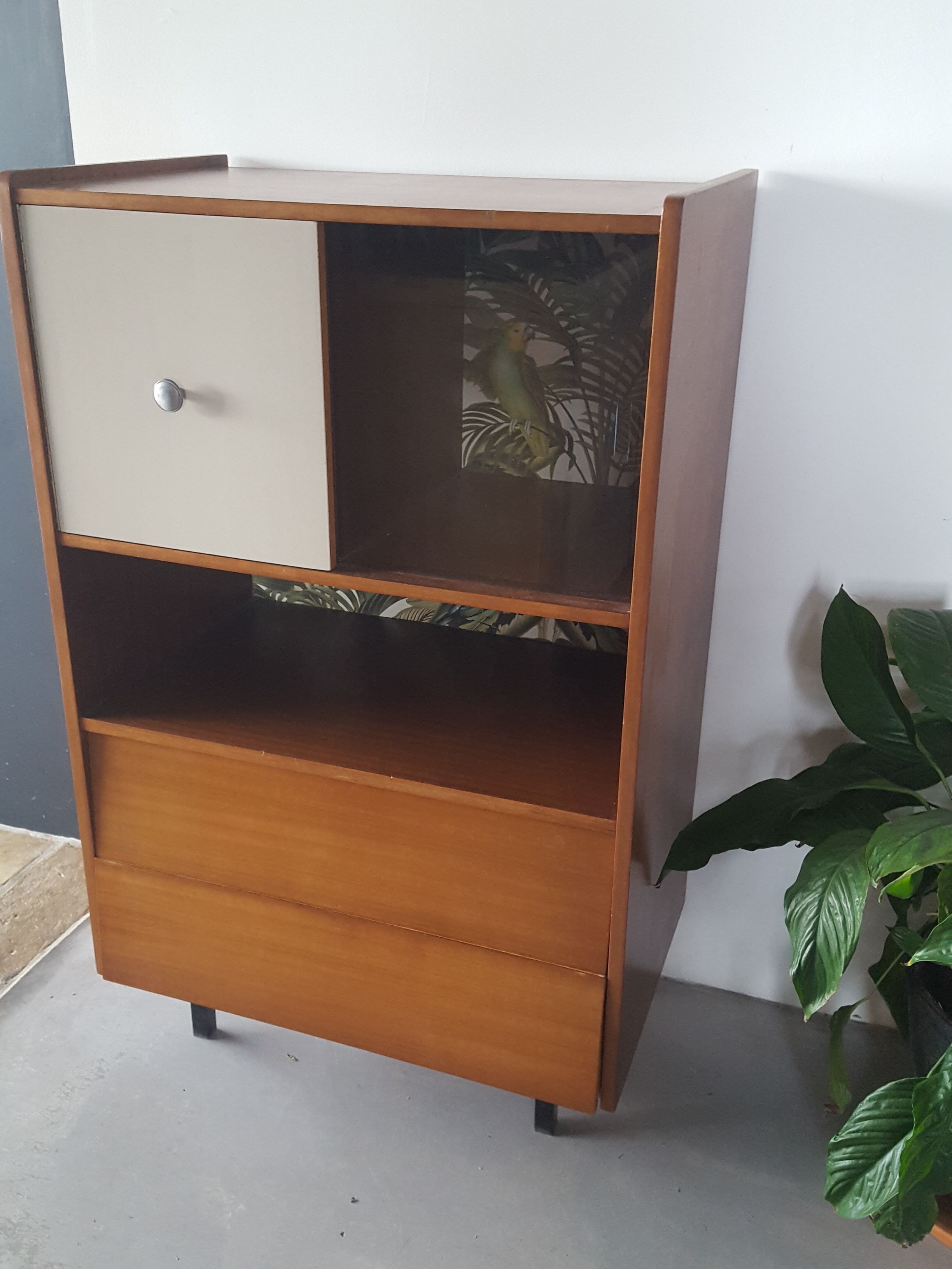 Meuble de rangement années 50 jungle