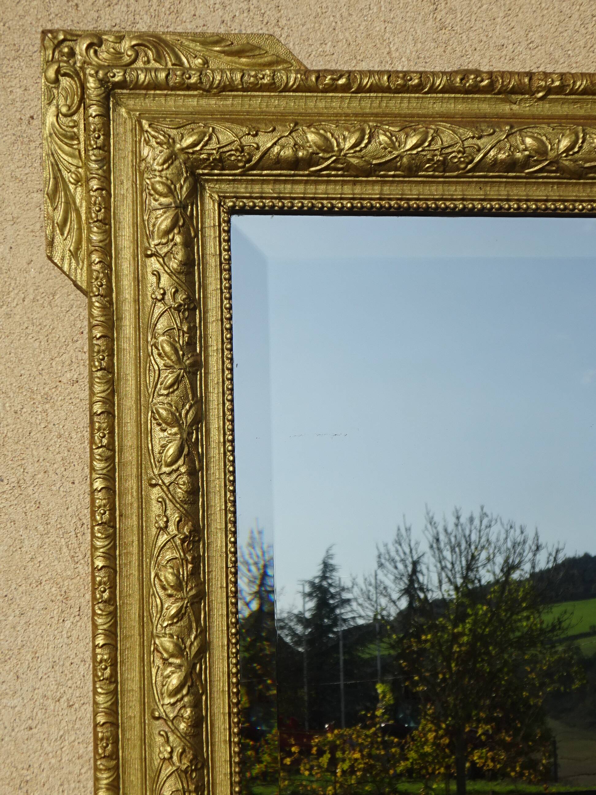 Antique mercury mirror in the Napoleon III style.