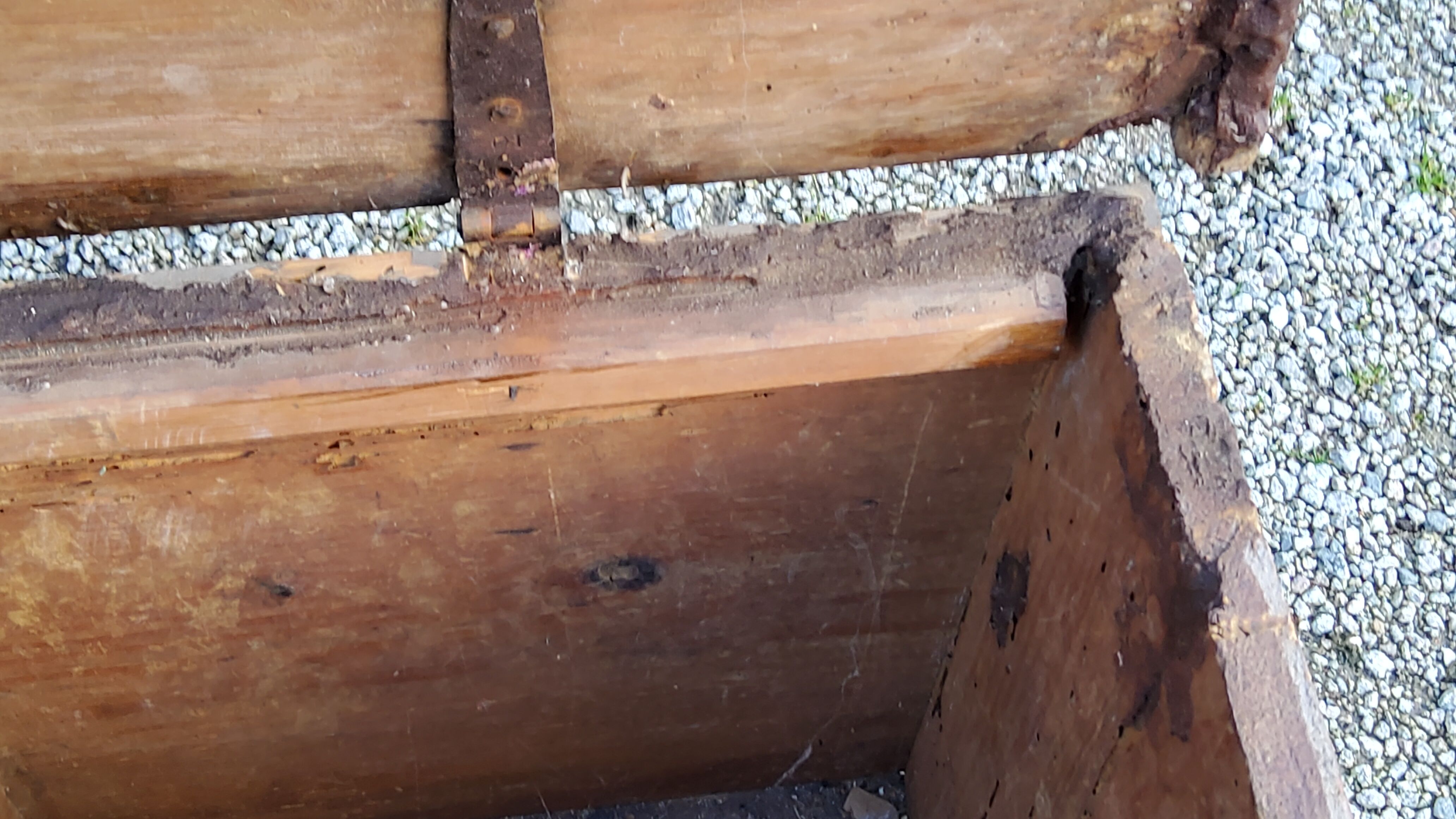 Alsatian polychrome wedding chest eighteenth -nineteenth century