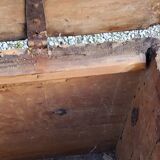 Alsatian polychrome wedding chest eighteenth -nineteenth century