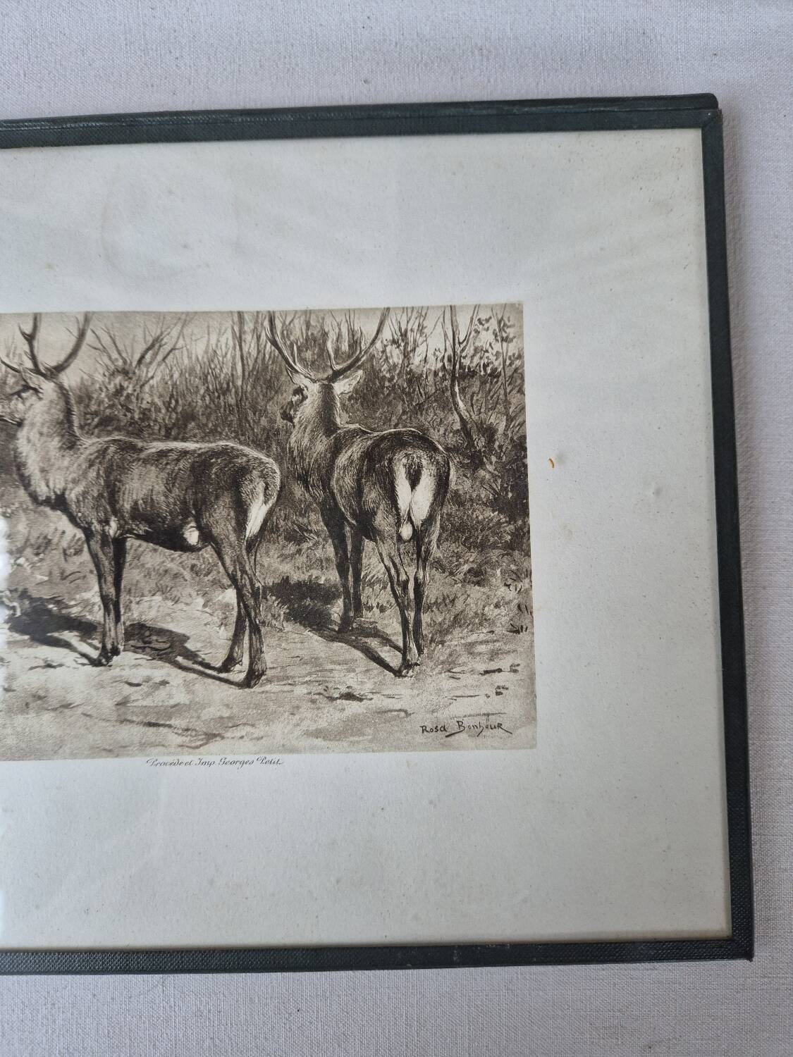 Engraving of a deer hunt by Rosa Bonheur