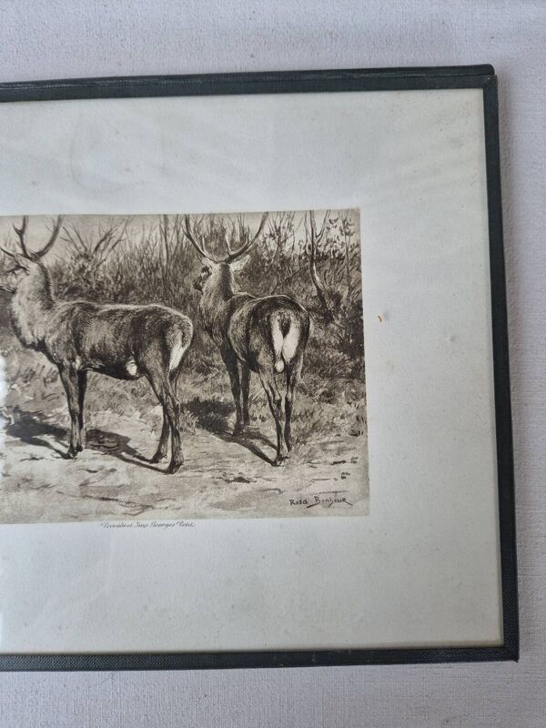 Gravure chasse cerfs Rosa Bonheur
