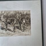 Engraving of a deer hunt by Rosa Bonheur