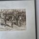 Gravure chasse cerfs Rosa Bonheur