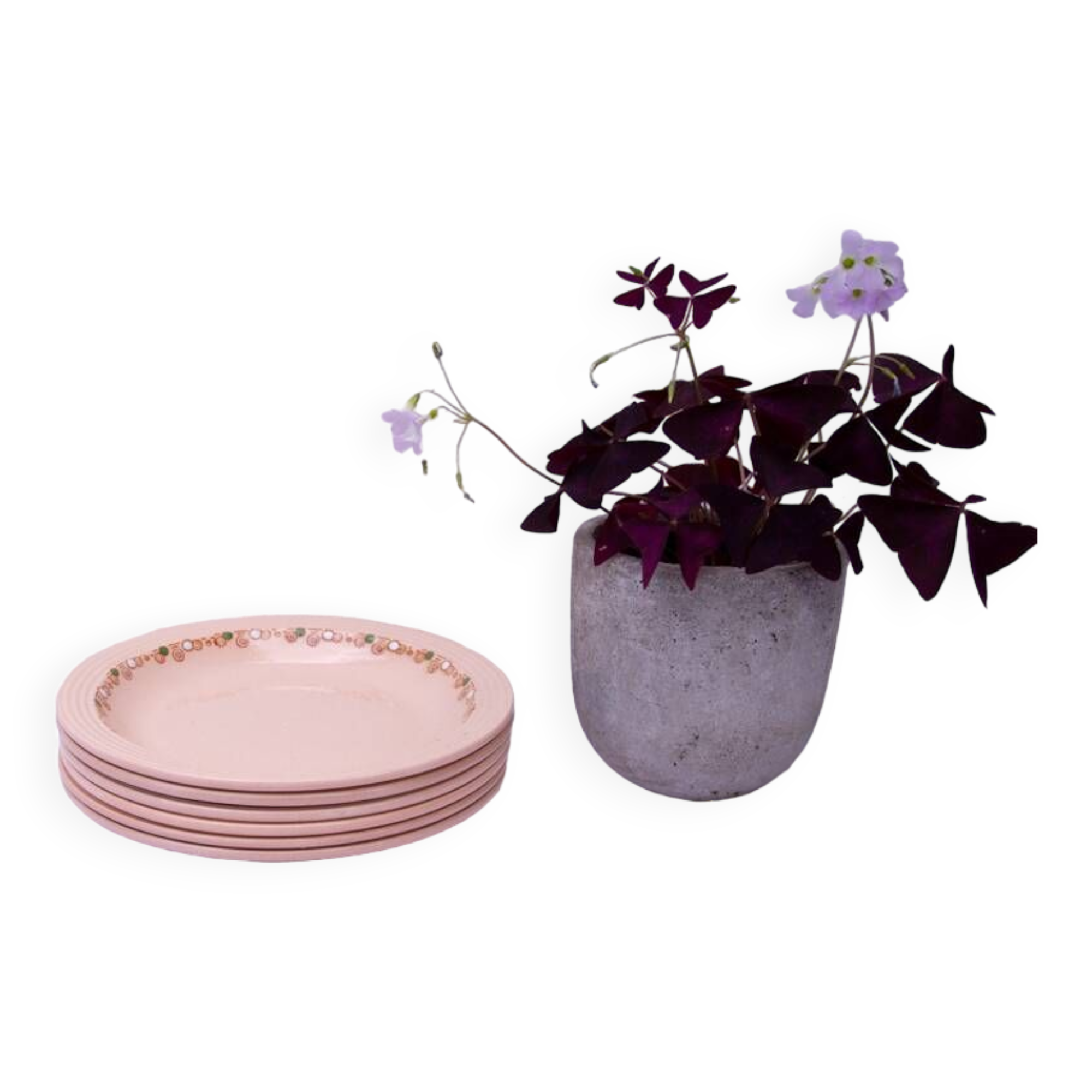 6 Betty Longwy soup plates