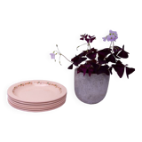 6 Betty Longwy soup plates