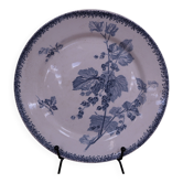 Old plate mounted U & C Sarreguemines model Currants