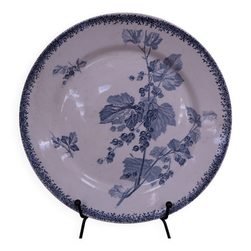 Old plate mounted U & C Sarreguemines model Currants