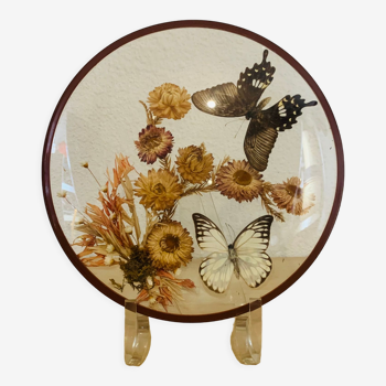 Stuffed butterfly domed frame and dried flowers