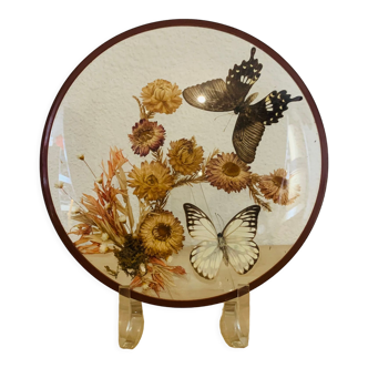 Stuffed butterfly domed frame and dried flowers