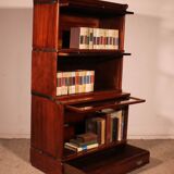 Globe Wernicke Library in Mahogany with 3 large elements and a projection.