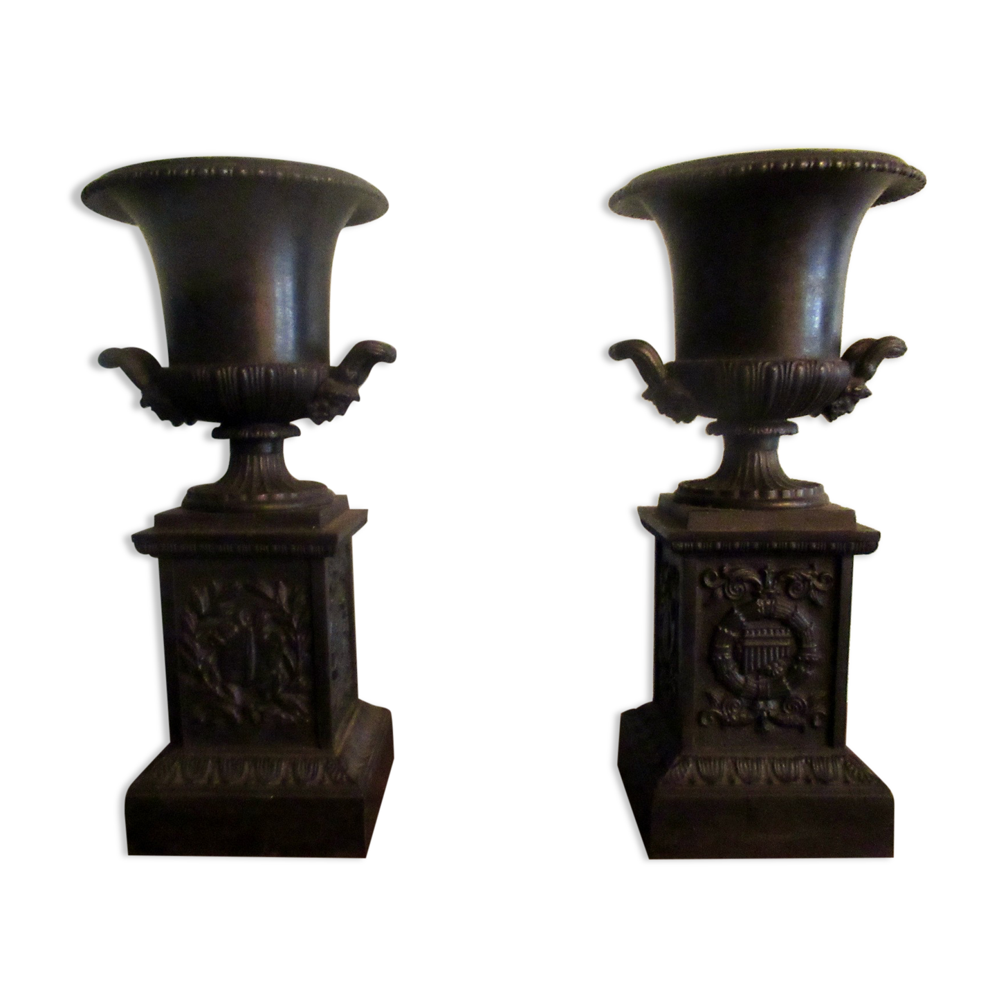 Pair of Medici vases, cast iron, on base