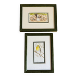 2 aquarelles oiseaux