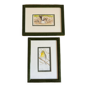 2 watercolors birds