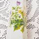 Botanical vase motifs