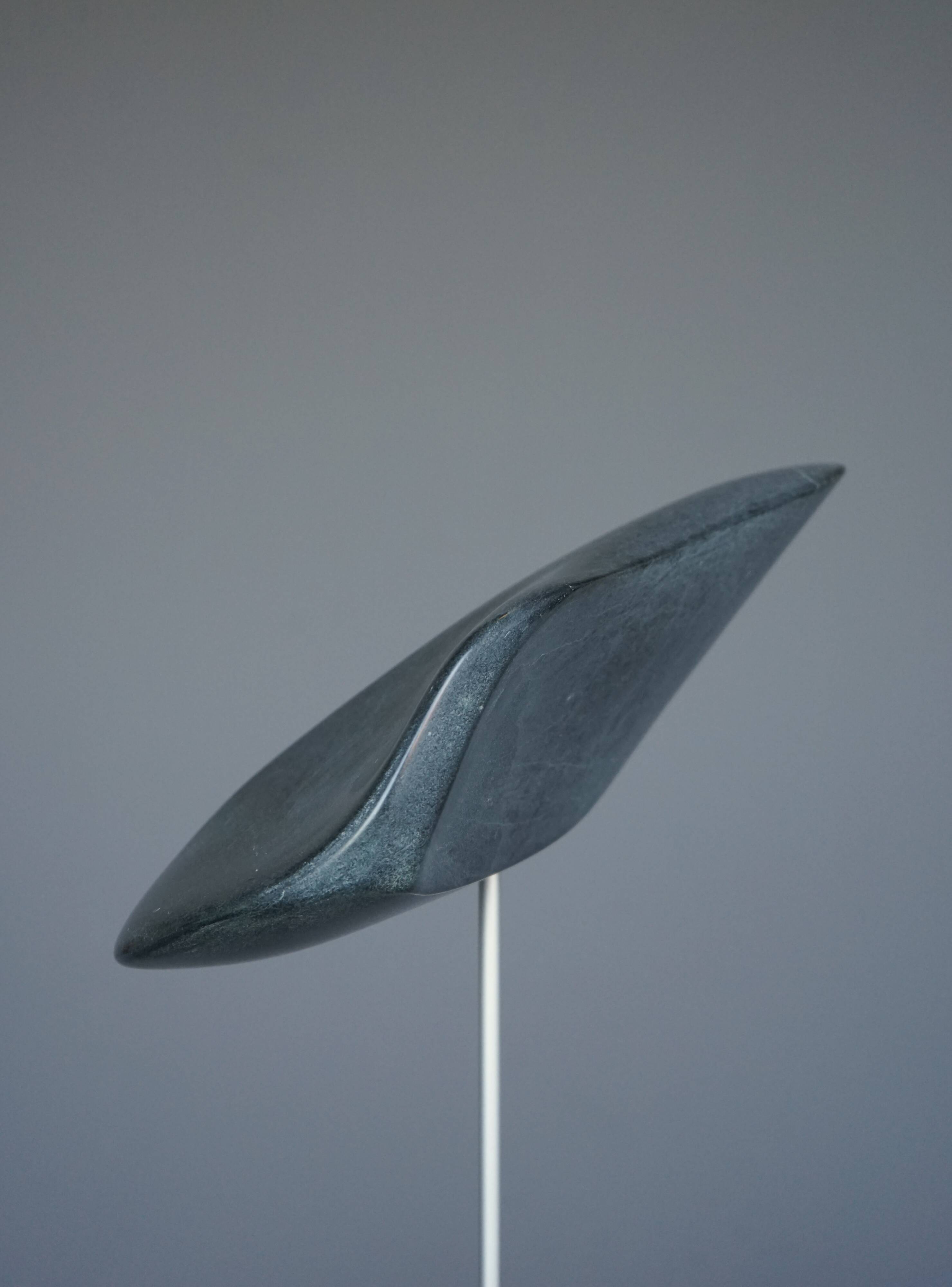 Abstract Organic Sculpture in polished Grey Stone, 1980s