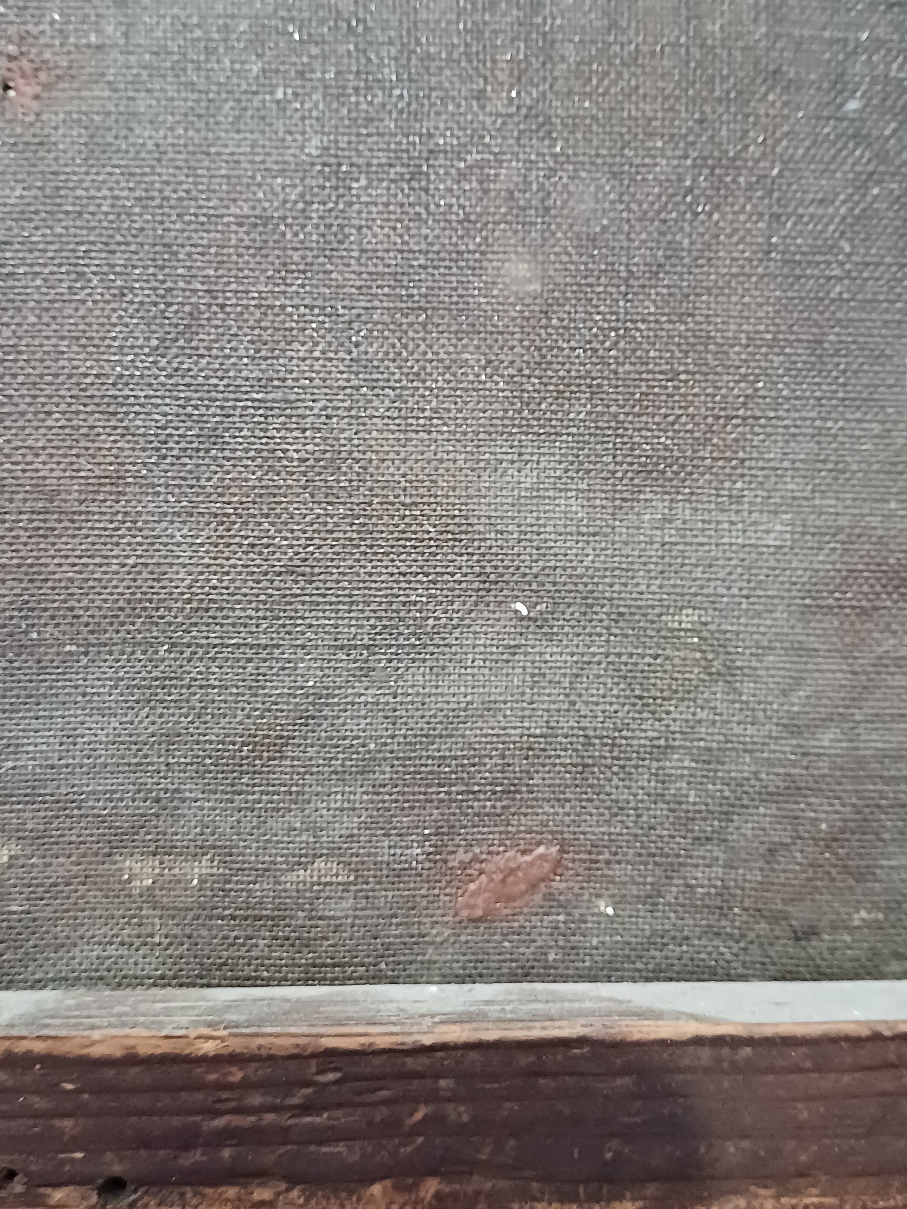 Hst painting still life basket of overturned fruit 19th - 20th century