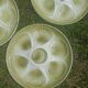 Seafood earthenware plates