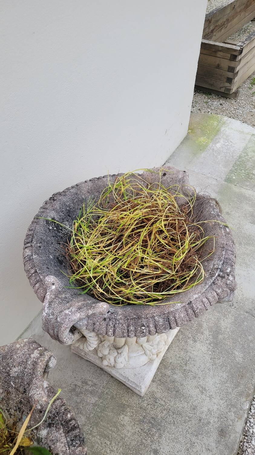 Pair of planter vases decorated with faces in reconstituted stone 1950s