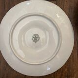 6 new oyster plates