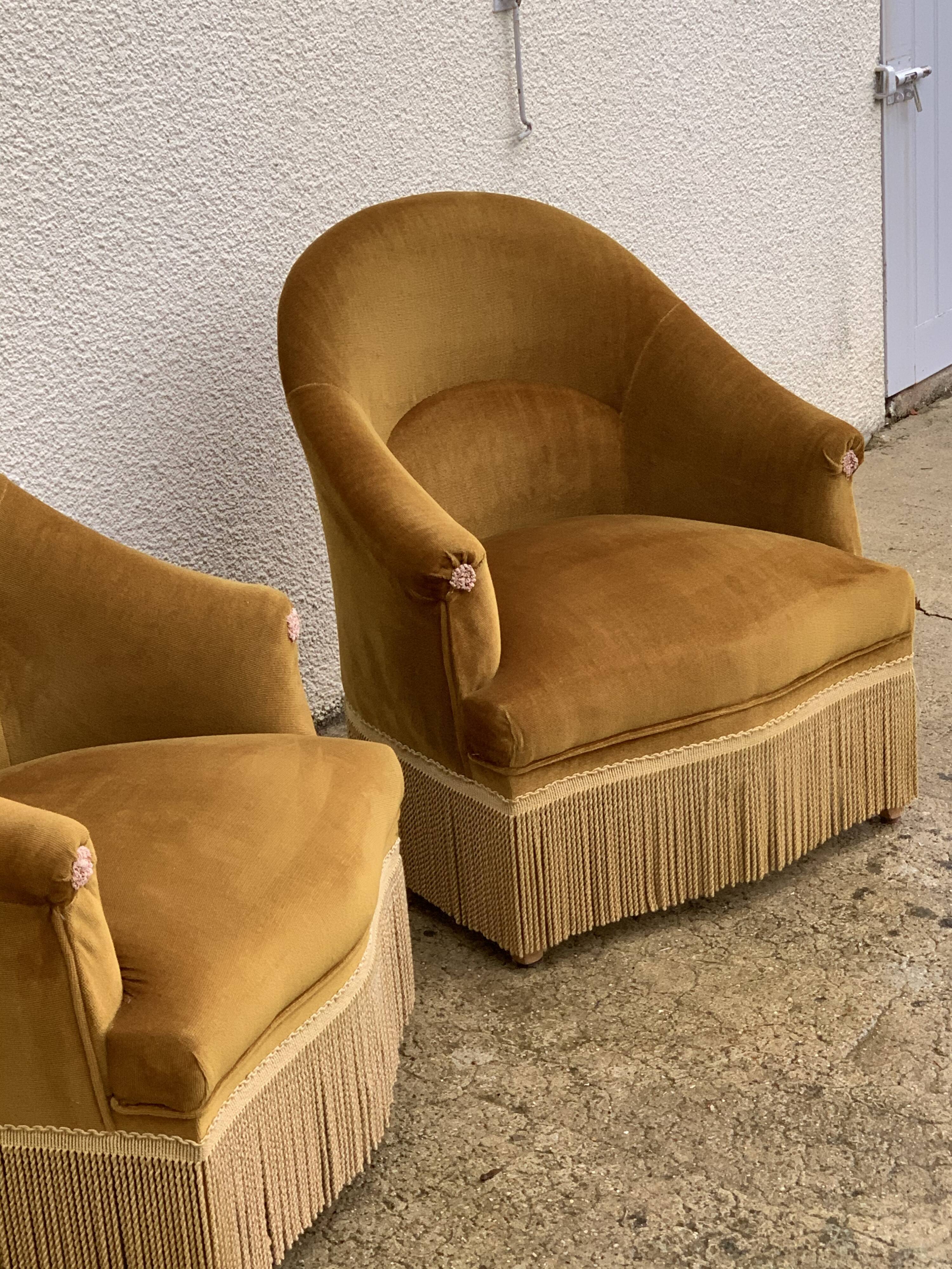 Pair of golden velvet toad armchairs 1970