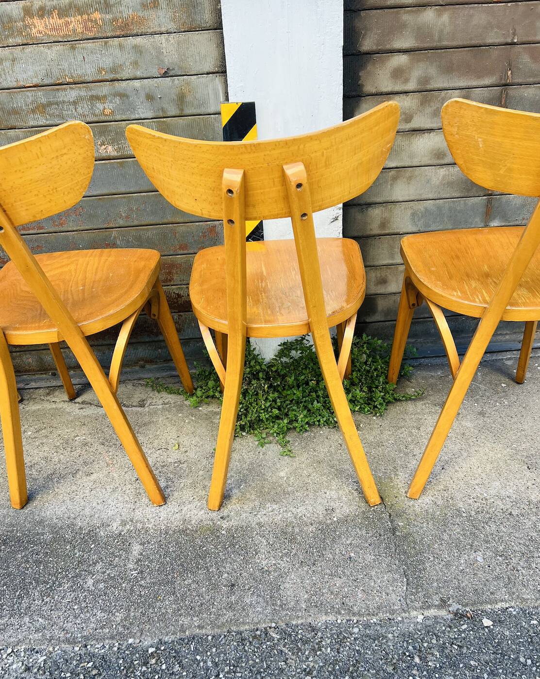 (Lot) 6 Bistro Chairs Lutherma Banana (Light Oak)