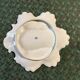 Limoges porcelain oyster plate BH, Art Nouveau botanical decoration.