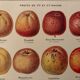 Reserve Aude - set of 3 illustrated boards 20th century