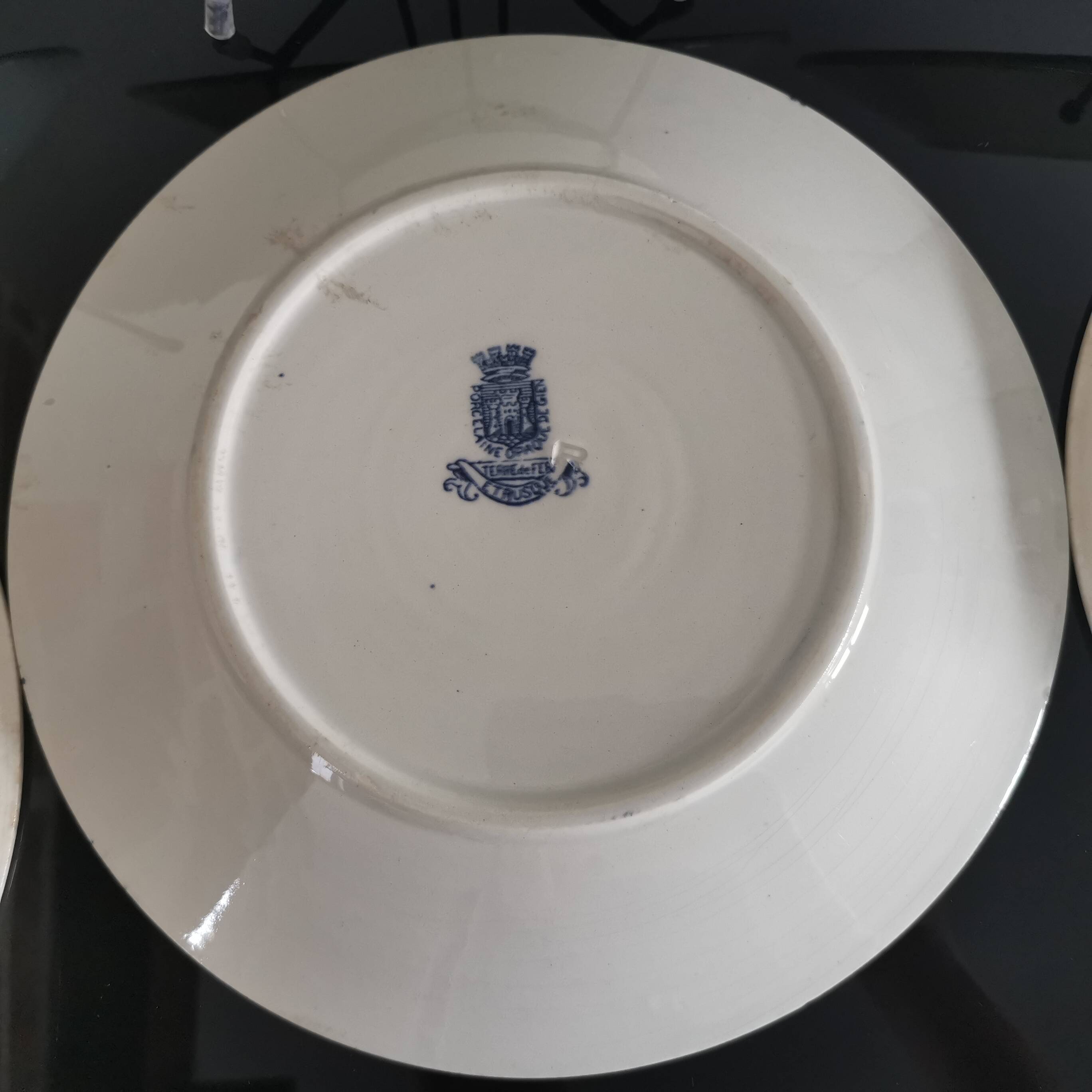 Old "Etruscan" flat plates in opaque porcelain from Gien Terre de Fer