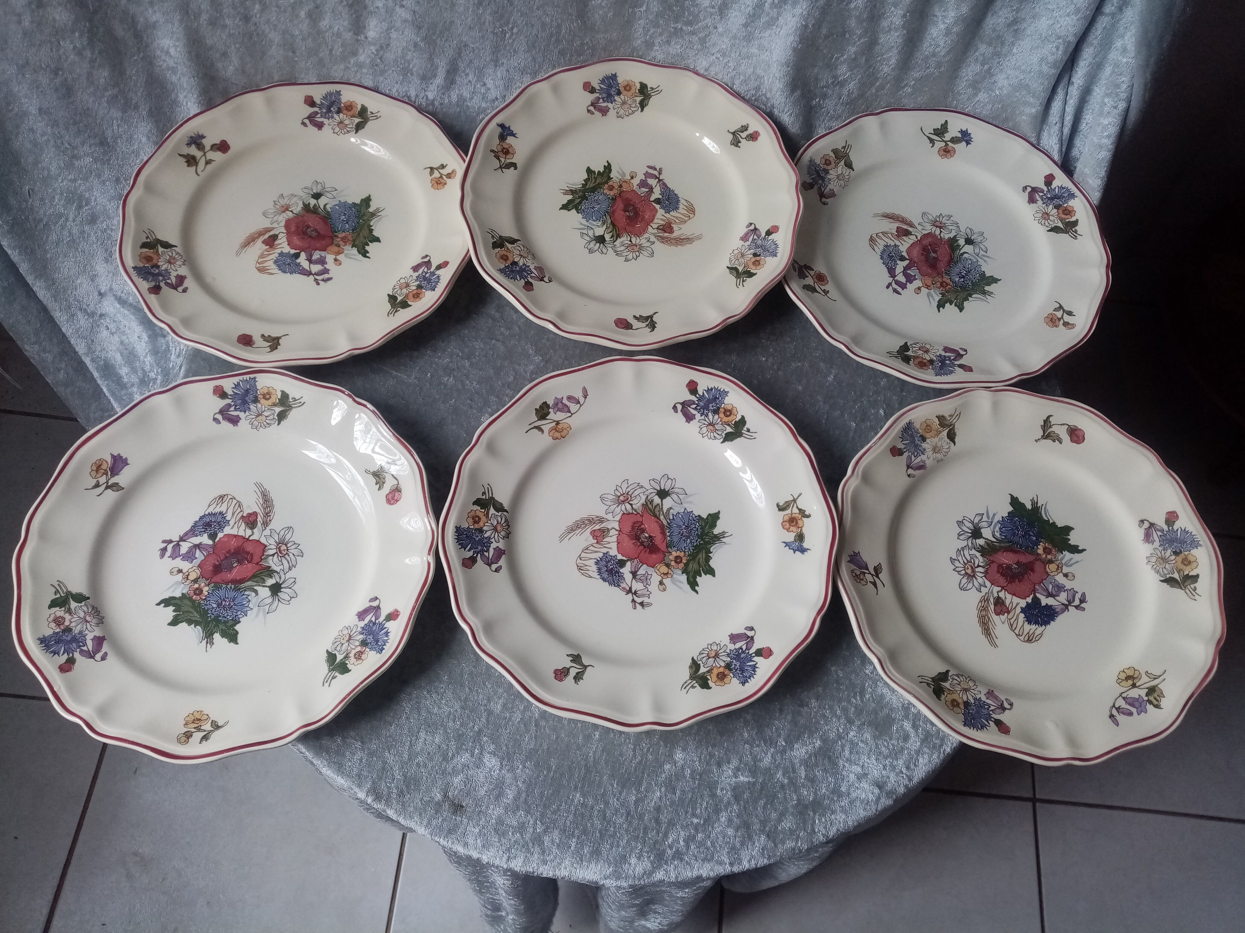 Series of 6 flat plates in earthenware of sarreguemines model agreste