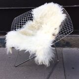 Chair Diamond of Bertoia Knoll