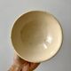 earthenware bowl in Iron Earth early twentieth century
