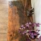 Vintage coffee table
