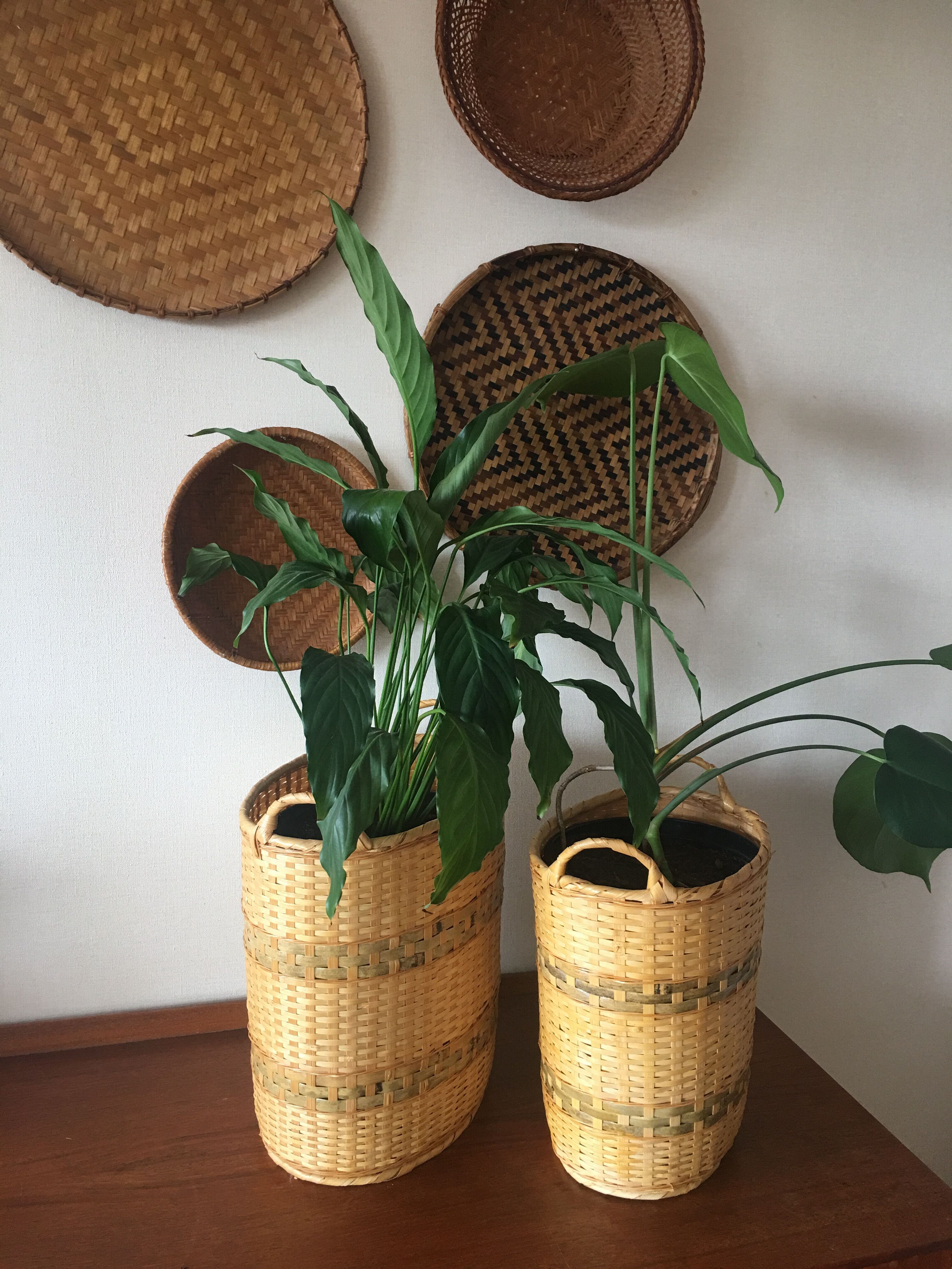 Wicker basket duo