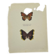 Gravure ancienne papillon eau forte 1900 Art Déco