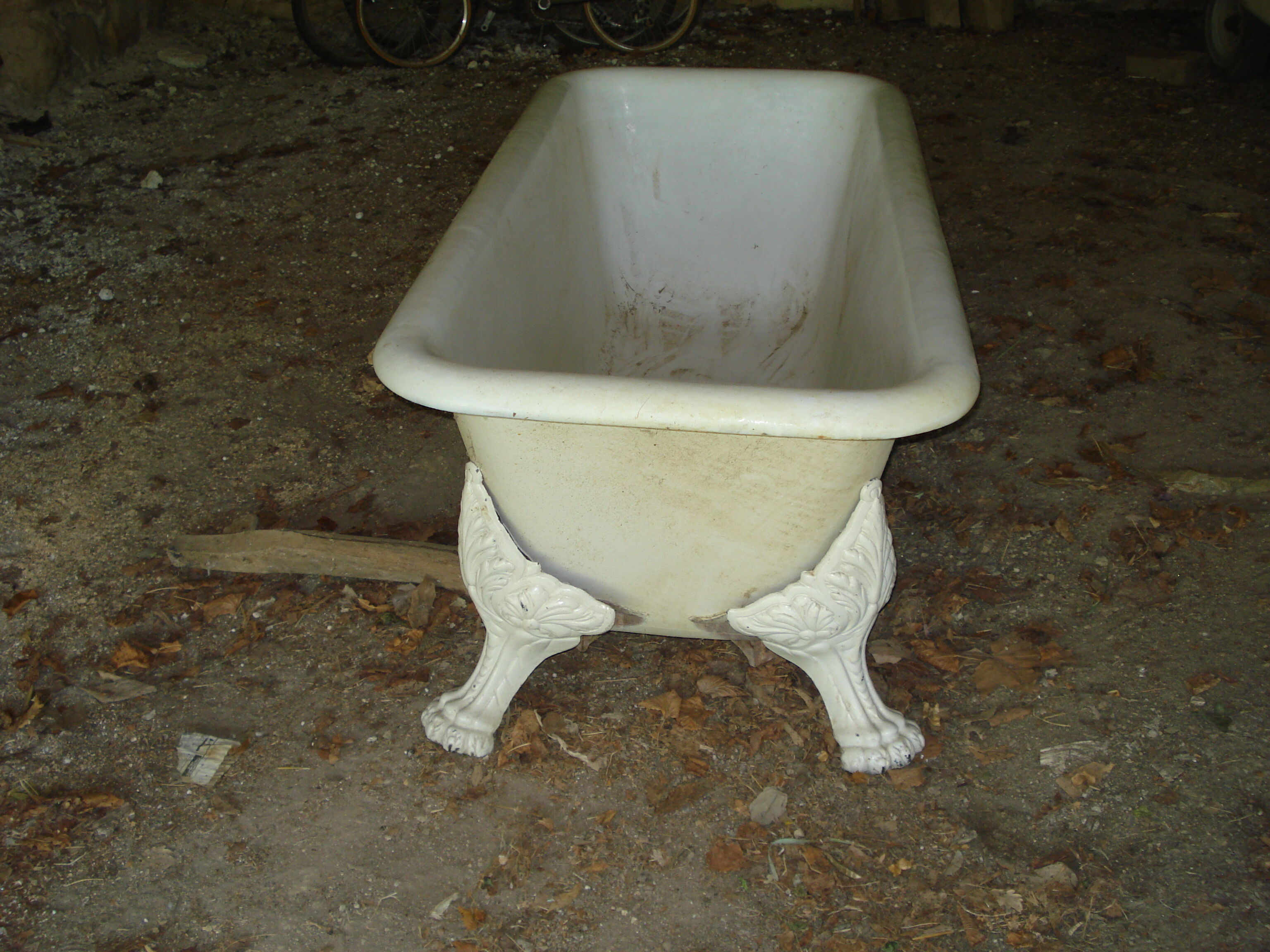 Cast iron lion's feet bathtub